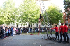 Les Echappes du carrousel 52 * 5184 x 3456 * (9.31MB)